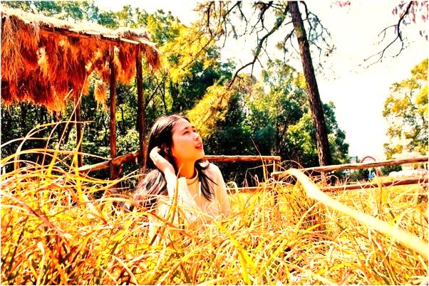 夢到想找個軍官男有什麼寓意嗎_周公解夢官網