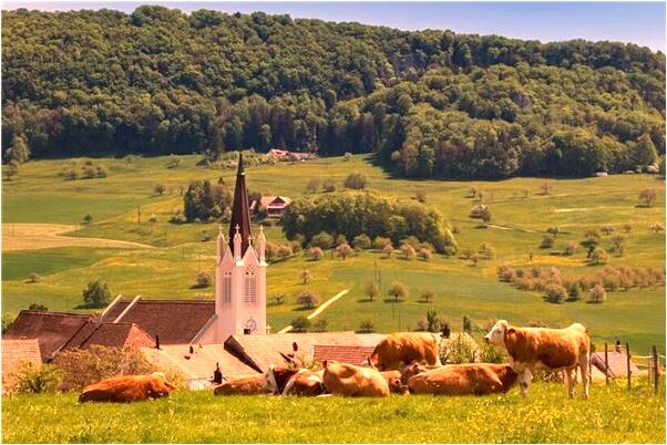 夢到了自己生了個兒子是咋回事_周公解夢官網