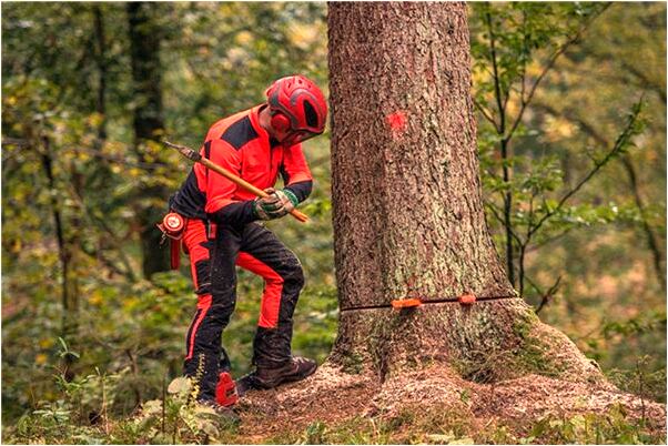 夢到了別人煮狗頭和牛頭預示什麼_周公解夢官網