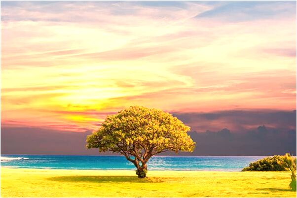 夢到了存檔案都需要什麼會怎么樣_周公解夢官網