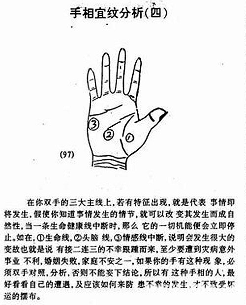 Palm palmprint analysis diagram