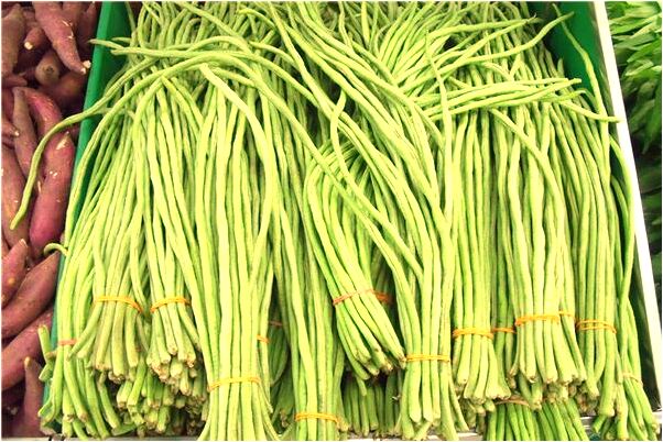 夢見東西被水沖走是吉兆嗎?_周公解夢官網