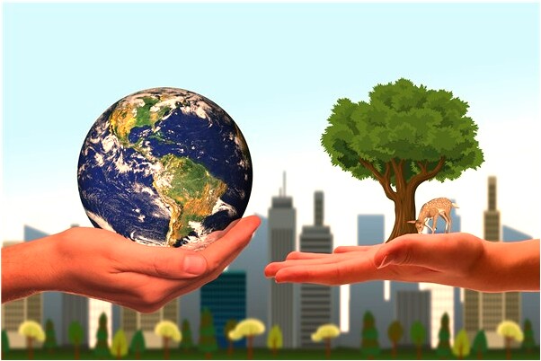 夢到在大海的船上預示了什麼_周公解夢官網