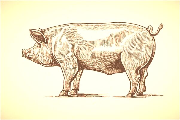 夢到別人搶走了我的東西代表著什麼_周公解夢官網