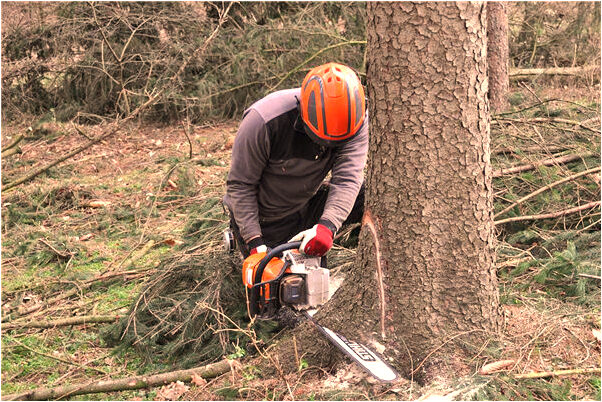夢見馬變成男人是什麼意思？_周公解夢官網