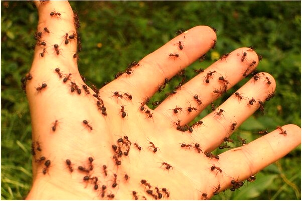 夢見朋友的老公被電死會是什麼預兆_周公解夢官網