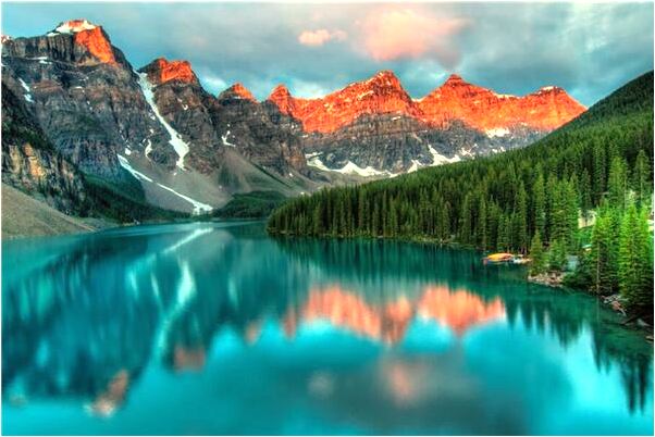 夢到男人蛇和魚意味什麼_周公解夢官網