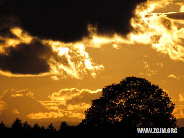 夢見老婆乳房變成了紫色_周公解夢夢到老婆乳房變成了紫色是什麼意思_做夢夢見老婆乳房變成了紫色好不好_周公解夢官網