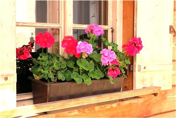 夢到和女友坐纜車掉下去是什麼兆頭_周公解夢官網