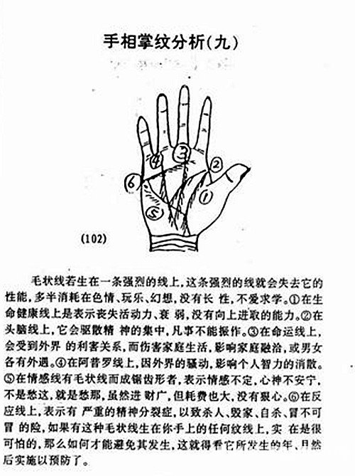 Palm palmprint analysis diagram