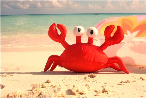 夢到大牙掉了還留血是什麼啟示_周公解夢官網