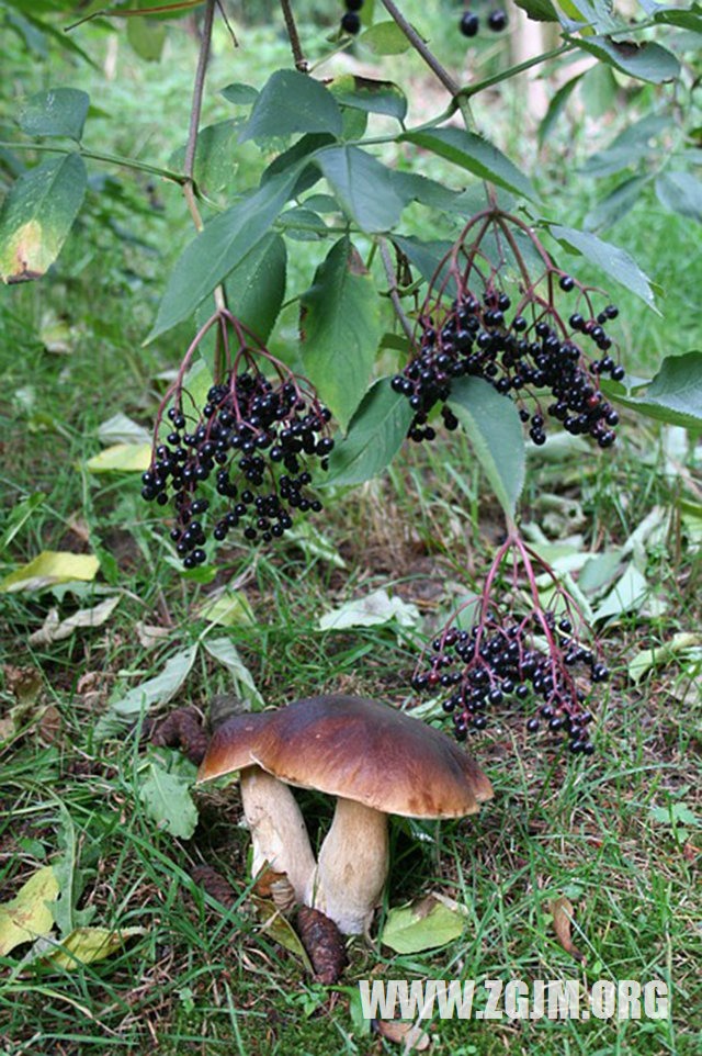 夢見地震了_周公解夢夢到地震了是什麼意思_做夢夢見地震了好不好_周公解夢官網