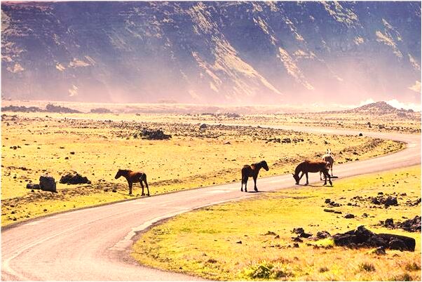 夢見歡的人不小心撲倒自己什麼寓意_周公解夢官網