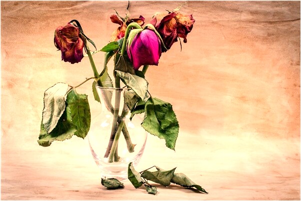 夢到大水和魚游來游去怎么回事_周公解夢官網