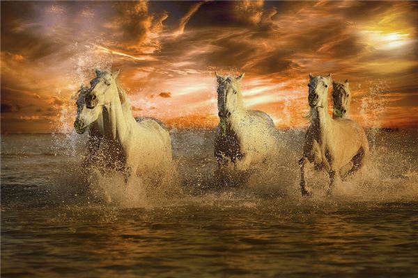 90女馬2020運勢_十二生肖