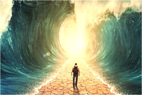 夢到了一大片很高很深的綠草是什麼啟示_周公解夢官網