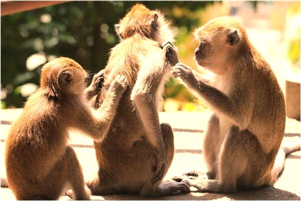 夢到自己被暗器飛進肉體是啥意思_周公解夢官網