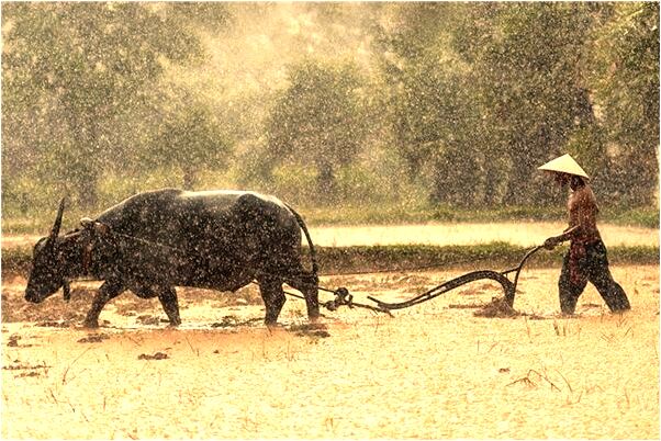 夢見朋友懷孕生男孩是什麼預兆_周公解夢官網