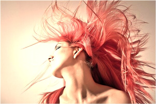 夢見上山摘葡萄怎么說_周公解夢官網