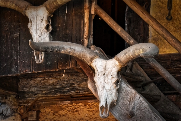 夢到井裡有骷髏預示著什麼_周公解夢