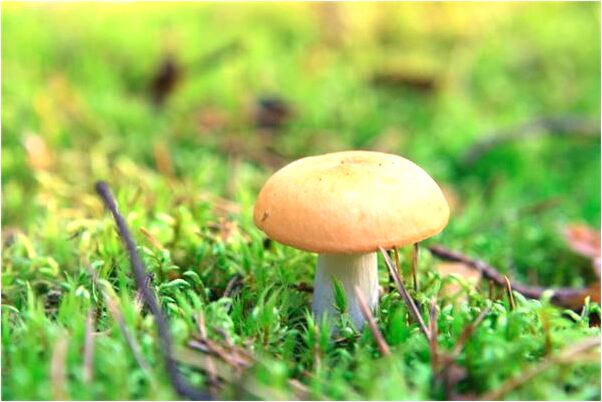 夢到親戚披麻戴孝怎么說_周公解夢官網