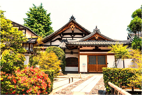 夢到了大豬鼻鯉魚會是什麼預兆_周公解夢官網