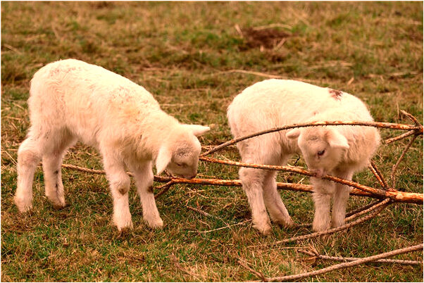 夢到別人把我的錢扣了是什麼徵兆_周公解夢官網