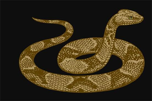 夢到了蛇纏著我是什麼意思_周公解夢