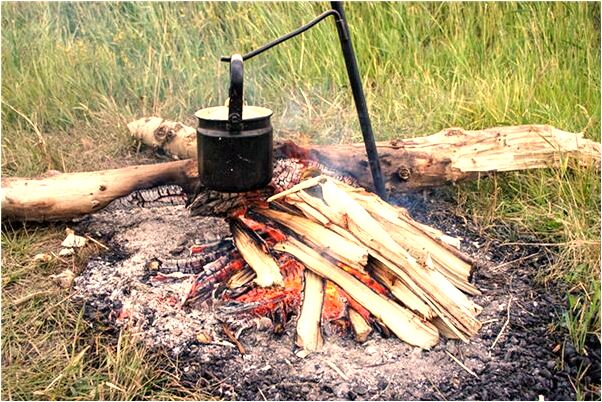 夢見用劍刺白色狐狸有什麼意義嗎_周公解夢官網