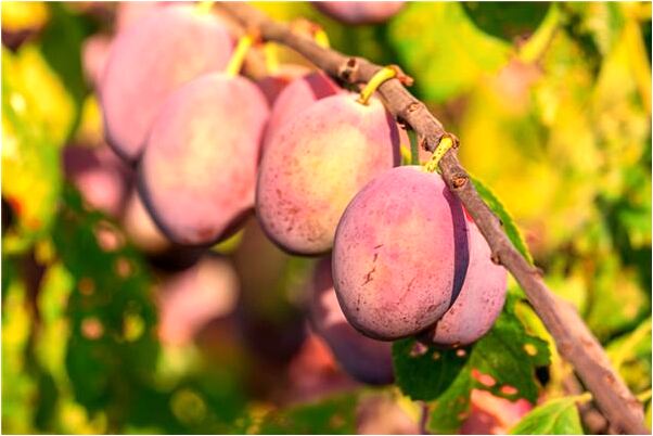 夢到了我穿妻子的衣服是什麼意思_周公解夢官網