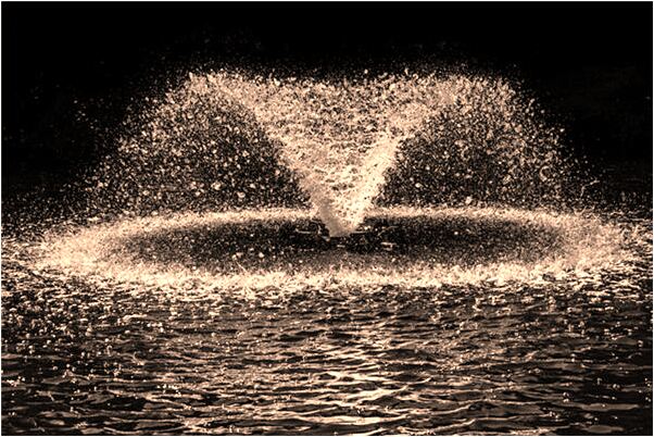 夢到車深陷土中代表著什麼_周公解夢官網