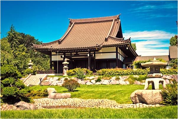 夢到了變倉鼠懷孕是不是好的徵兆呢_周公解夢官網