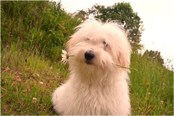 夢見洗過的襪子遞給男人有什麼徵兆_周公解夢官網