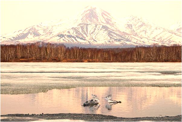 夢見排廢水是什麼啟示_周公解夢官網