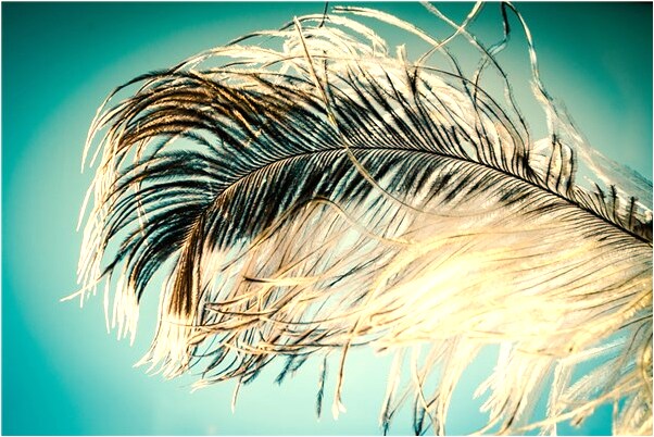 夢見姐姐辦喜酒有什麼意思_周公解夢官網