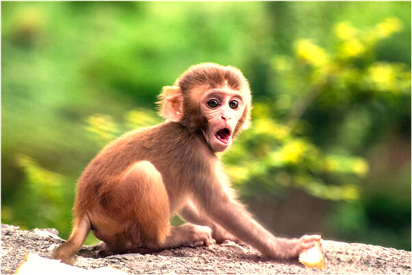 夢見我很多墳墓意味著什麼_周公解夢官網