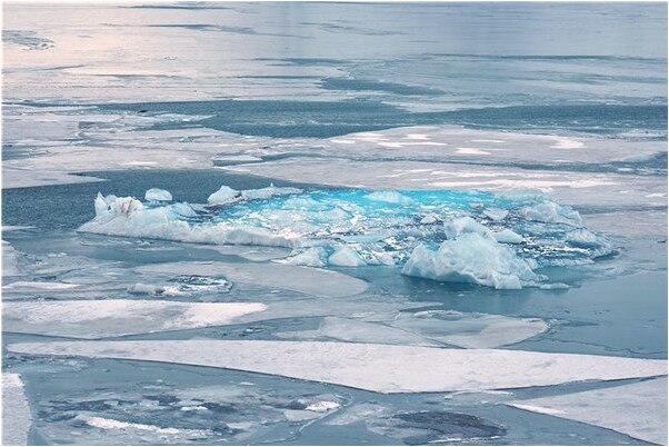 夢見和人打架後道歉是好事還是壞事_周公解夢官網