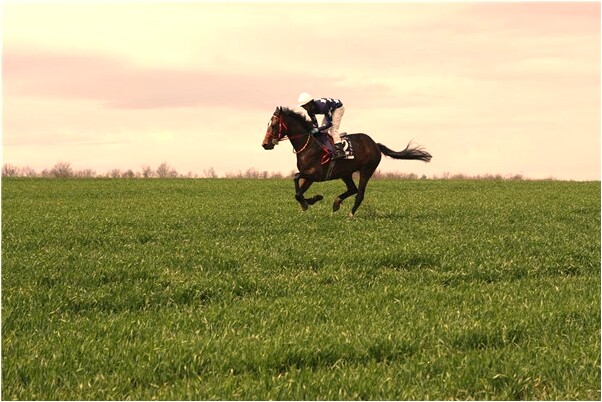 夢到了水裡有猴子有什麼徵兆_周公解夢官網