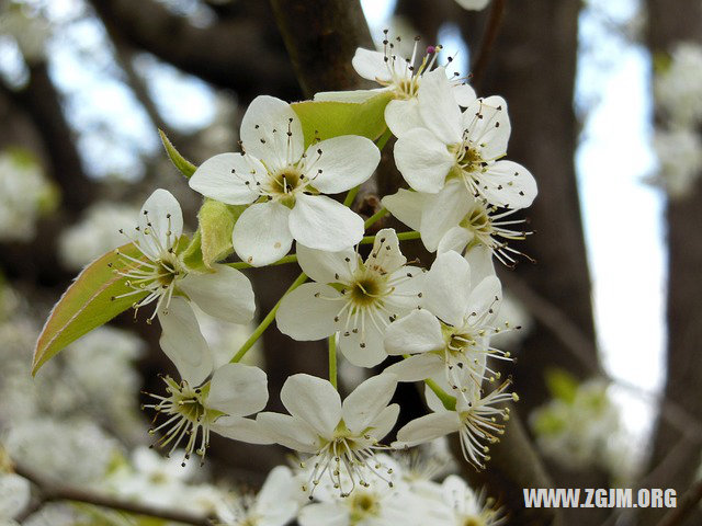 夢見死去親人給我錢_周公解夢夢到死去親人給我錢是什麼意思_做夢夢見死去親人給我錢好不好_周公解夢官網