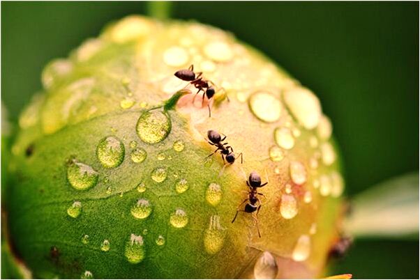 夢到了自己生女孩大出血是好是壞_周公解夢官網