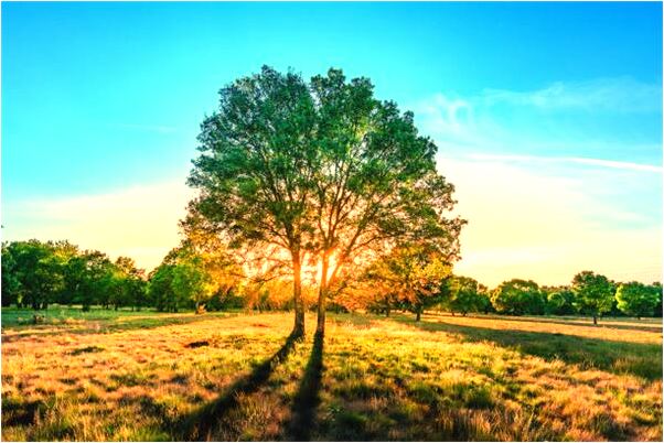 夢見自己的老公別女人行房是好的徵兆嗎_周公解夢官網