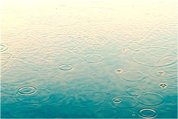 夢到了大黑蜘蛛兩隻是凶兆還是吉兆_周公解夢官網