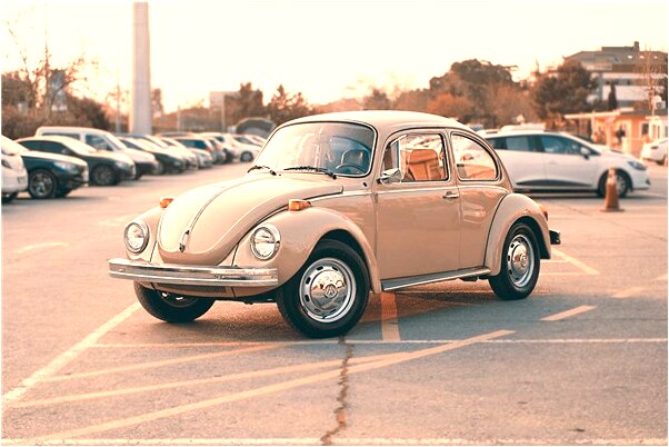 夢到了鞋子上的花掉了是什麼預兆？_周公解夢官網