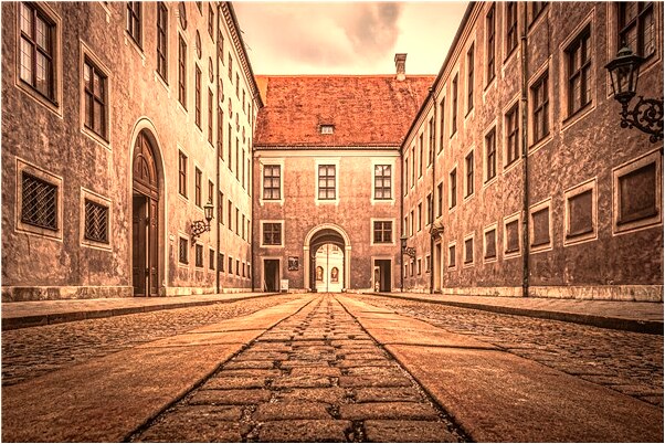 夢到和貓子交配會怎么樣_周公解夢官網