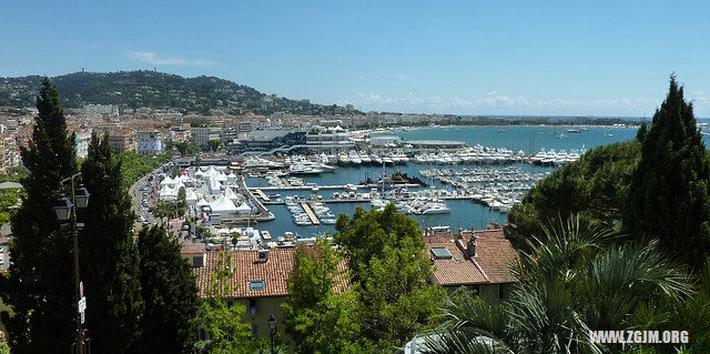 夢見恐龍追很多人_周公解夢夢到恐龍追很多人是什麼意思_做夢夢見恐龍追很多人好不好_周公解夢官網