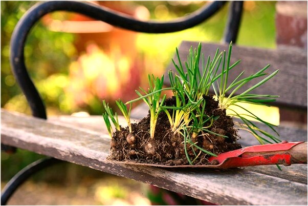 夢到一個小朋友坐在床上是好事還是壞事_周公解夢官網