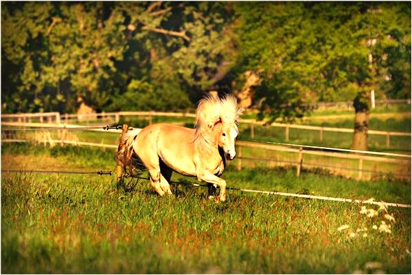 夢見車被損是吉兆嗎?_周公解夢官網