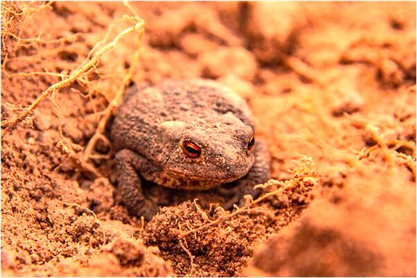 夢見抱著去世的人哭有什麼含義_周公解夢官網