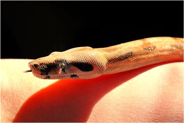 夢到下扶梯一直下怎么說_周公解夢官網