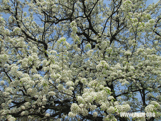 夢見樓房漏水_周公解夢夢到樓房漏水是什麼意思_做夢夢見樓房漏水好不好_周公解夢官網